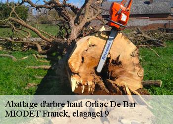 Abattage d'arbre haut  orliac-de-bar-19390 MIODET Franck, elagage19