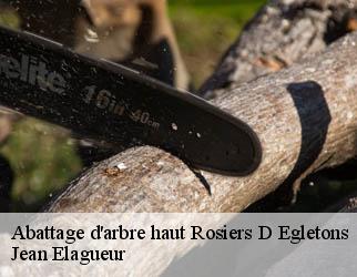 Abattage d'arbre haut rosiers-d-egletons-19300 Jean Elagueur