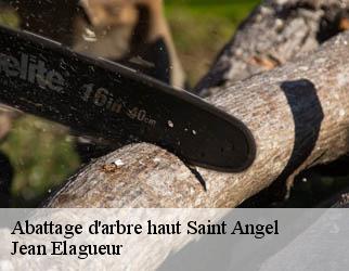 Abattage d'arbre haut saint-angel-19200 Jean Elagueur