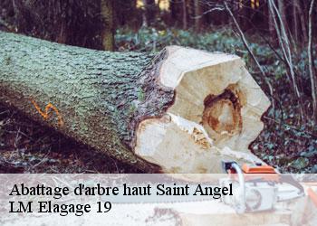 Abattage d'arbre haut saint-angel-19200 LM Elagage 19