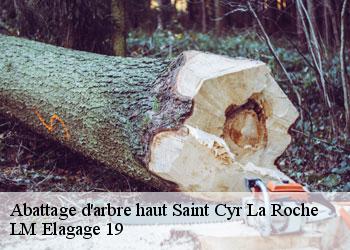 Abattage d'arbre haut saint-cyr-la-roche-19130 LM Elagage 19