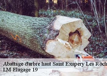 Abattage d'arbre haut saint-exupery-les-roches-19200 LM Elagage 19