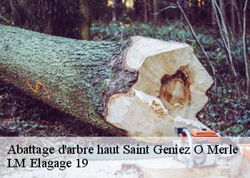 Abattage d'arbre haut saint-geniez-o-merle-19220 LM Elagage 19