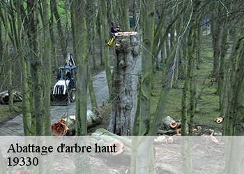 Abattage d'arbre haut 19330