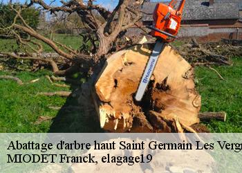 Abattage d'arbre haut  saint-germain-les-vergnes-19330 MIODET Franck, elagage19