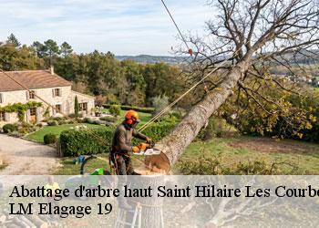 Abattage d'arbre haut 19170