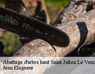 Abattage d'arbre haut saint-julien-le-vendomois-19210 Jean Elagueur