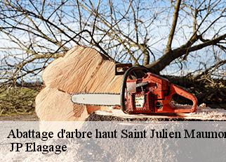 Abattage d'arbre haut saint-julien-maumont-19500 JP Elagage