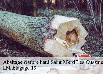 Abattage d'arbre haut  saint-merd-les-oussines-19170 LM Elagage 19
