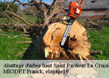 Abattage d'arbre haut  saint-pardoux-la-croisille-19320 MIODET Franck, elagage19