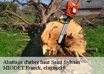 Abattage d'arbre haut  saint-sylvain-19380 MIODET Franck, elagage19