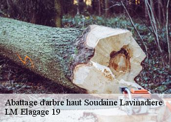 Abattage d'arbre haut  soudaine-lavinadiere-19370 LM Elagage 19