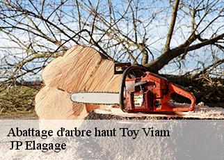 Abattage d'arbre haut  toy-viam-19170  JP Elagage
