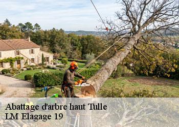 Abattage d'arbre haut 19000