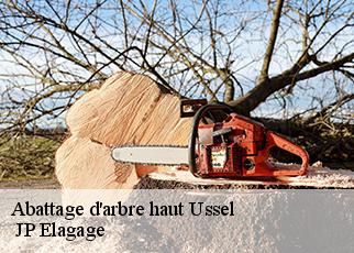 Abattage d'arbre haut ussel-19200 JP Elagage