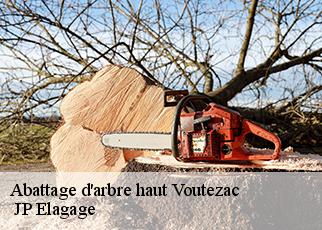 Abattage d'arbre haut voutezac-19130 JP Elagage