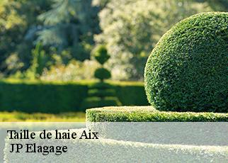 Taille de haie aix-19200 JP Elagage