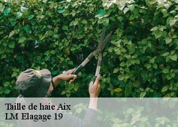 Taille de haie 19200