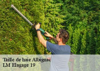 Taille de haie albignac-19190 LM Elagage 19
