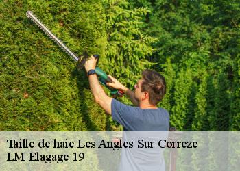 Taille de haie les-angles-sur-correze-19000 LM Elagage 19
