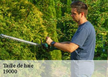 Taille de haie 19000