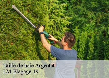 Taille de haie argentat-19400 LM Elagage 19