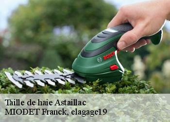 Taille de haie  astaillac-19120 MIODET Franck, elagage19