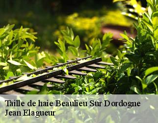 Taille de haie beaulieu-sur-dordogne-19120 Jean Elagueur