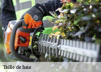 Taille de haie
