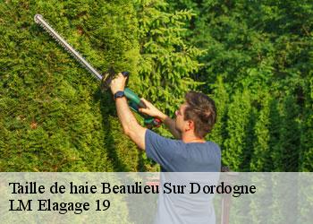 Taille de haie beaulieu-sur-dordogne-19120 LM Elagage 19