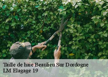 Taille de haie 19120