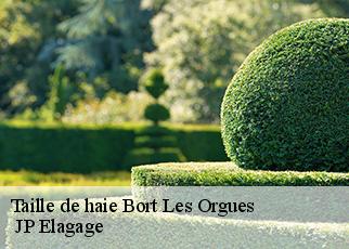 Taille de haie bort-les-orgues-19110 JP Elagage