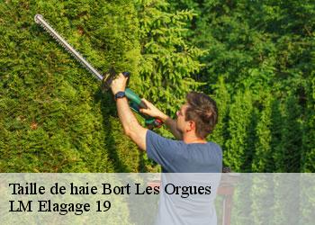 Taille de haie  bort-les-orgues-19110 LM Elagage 19