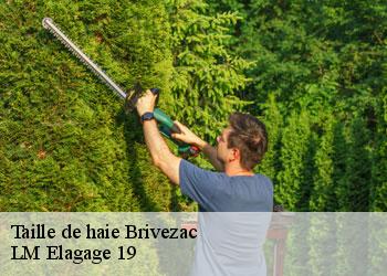 Taille de haie  brivezac-19120 LM Elagage 19