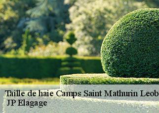 Taille de haie  camps-saint-mathurin-leobaze-19430  JP Elagage