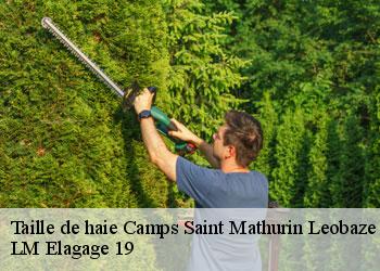 Taille de haie camps-saint-mathurin-leobaze-19430 LM Elagage 19