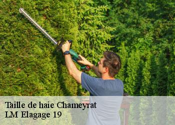 Taille de haie chameyrat-19330 LM Elagage 19