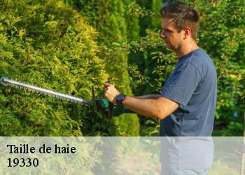 Taille de haie 19330