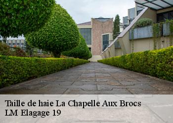 Taille de haie 19360