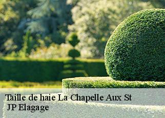 Taille de haie la-chapelle-aux-st-19120 JP Elagage