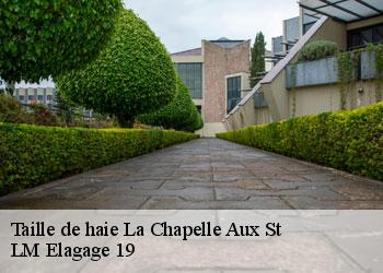 Taille de haie 19120