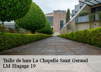 Taille de haie 19430