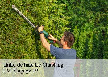 Taille de haie  le-chastang-19190 LM Elagage 19