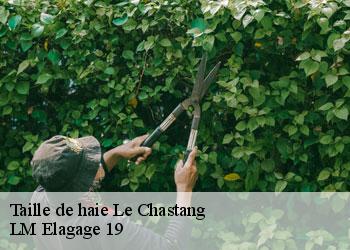 Taille de haie  19190