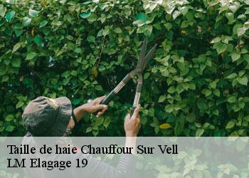 Taille de haie 19500