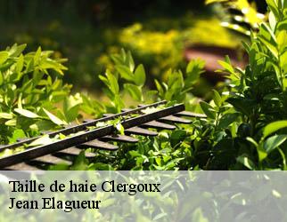 Taille de haie clergoux-19320 Jean Elagueur
