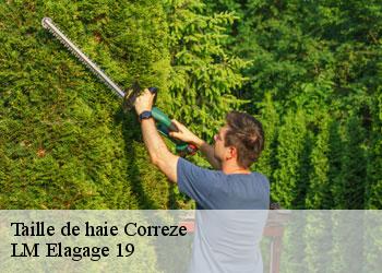 Taille de haie correze-19800 LM Elagage 19