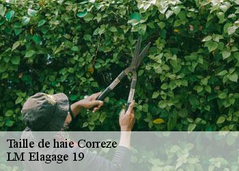 Taille de haie 19800