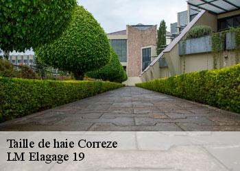 Taille de haie 19800