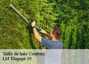 Taille de haie courteix-19340 LM Elagage 19
